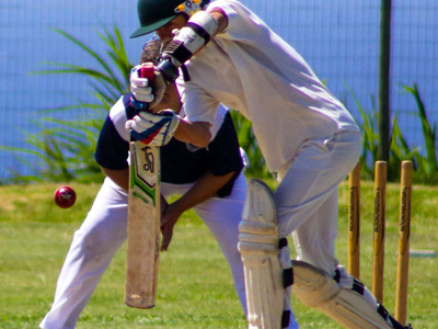 Sports - Cricket